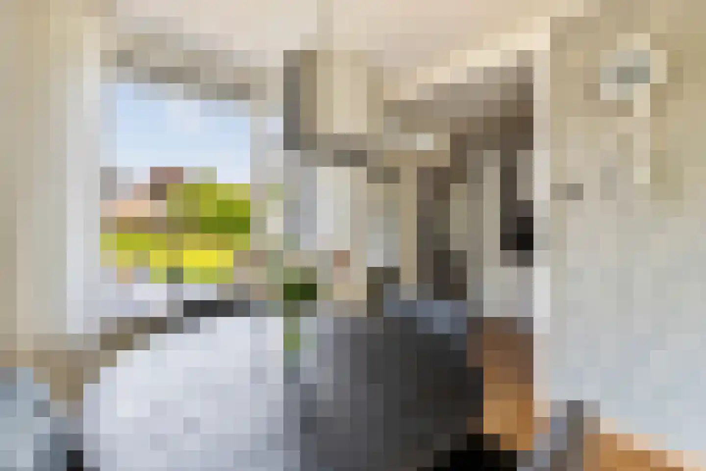 Jonkerstraat 20 Waarland thumbnail 12