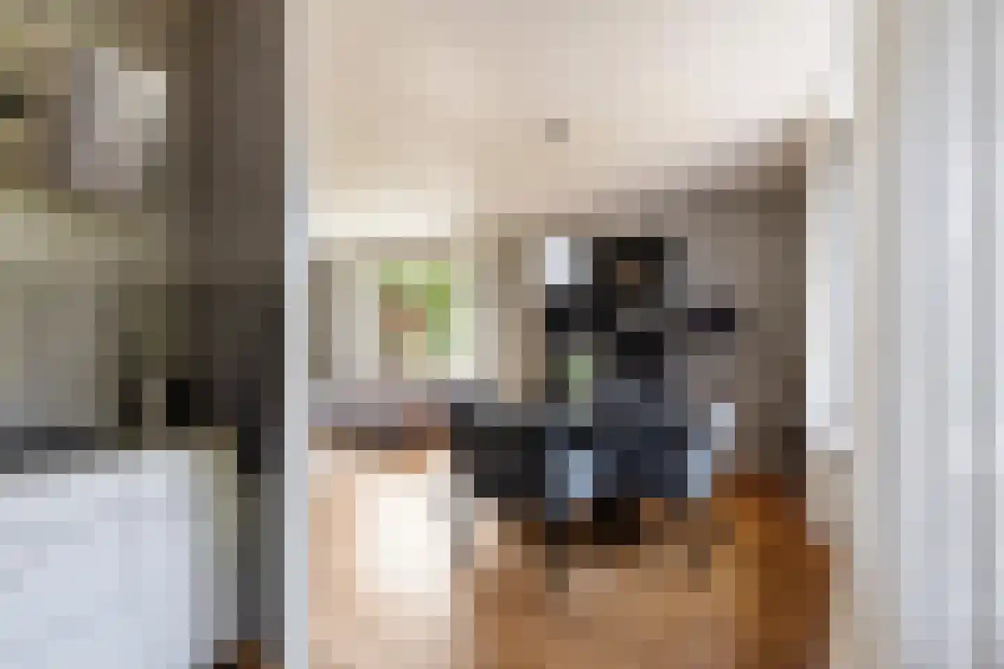 Jonkerstraat 20 Waarland thumbnail 13