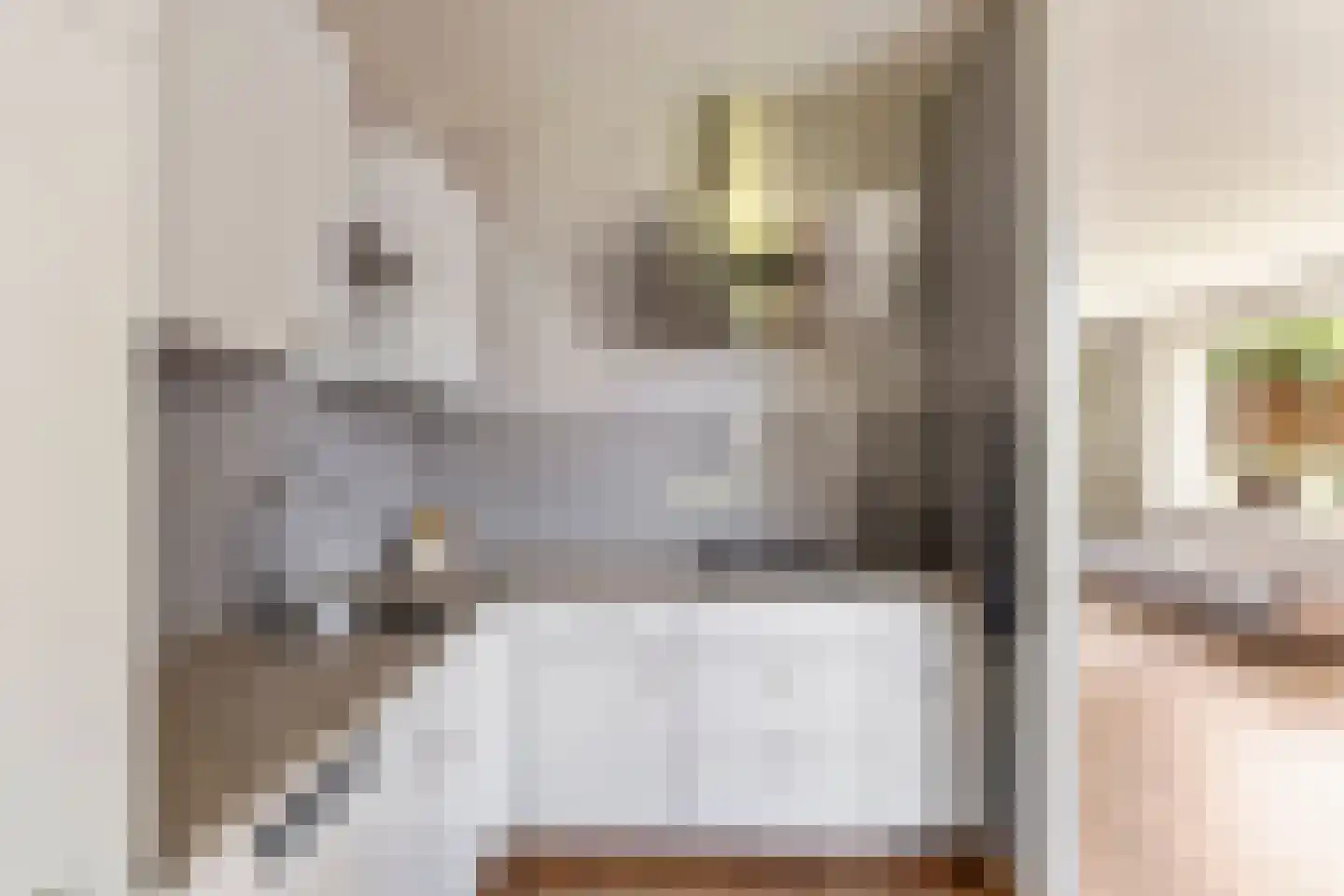 Jonkerstraat 20 Waarland thumbnail 14