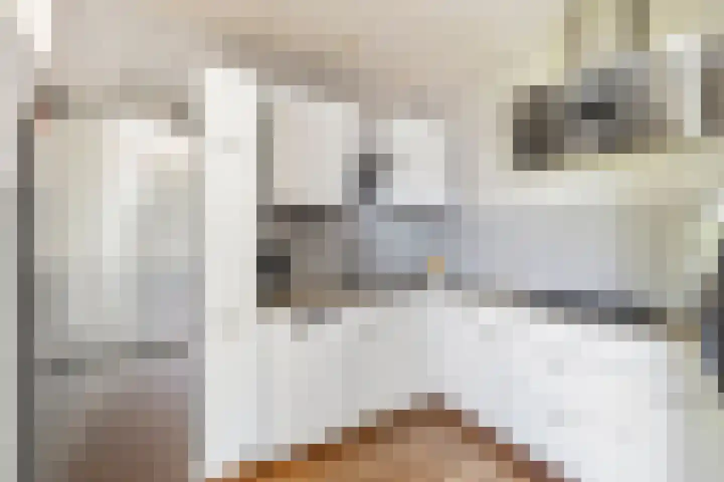 Jonkerstraat 20 Waarland thumbnail 15