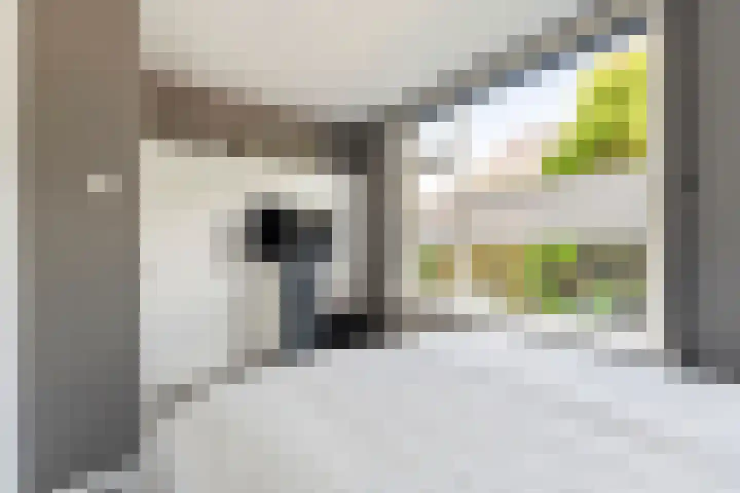 Jonkerstraat 20 Waarland thumbnail 17