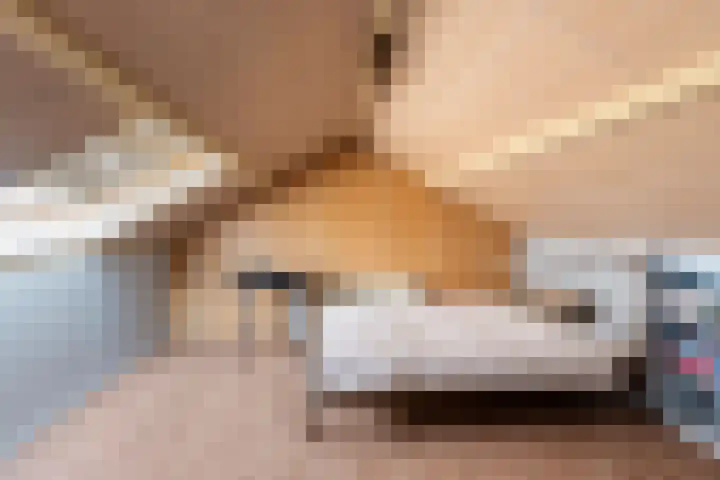 Jonkerstraat 20 Waarland thumbnail 25