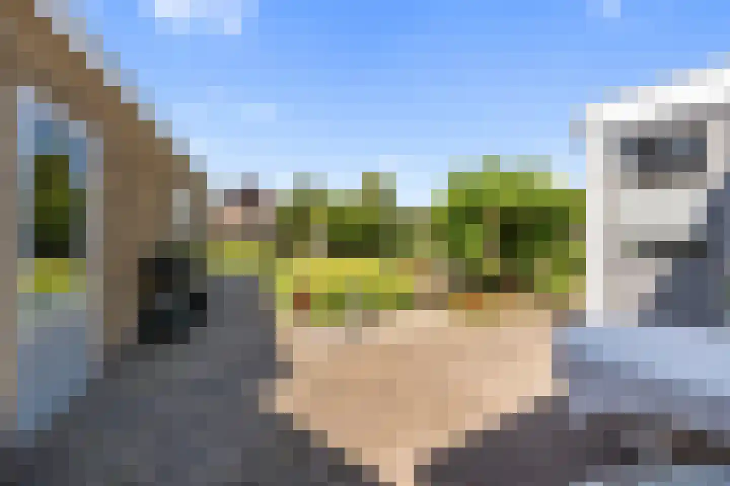 Jonkerstraat 20 Waarland thumbnail 31