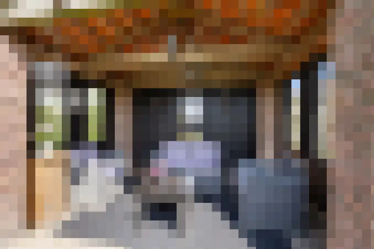 Jonkerstraat 20 Waarland thumbnail 37