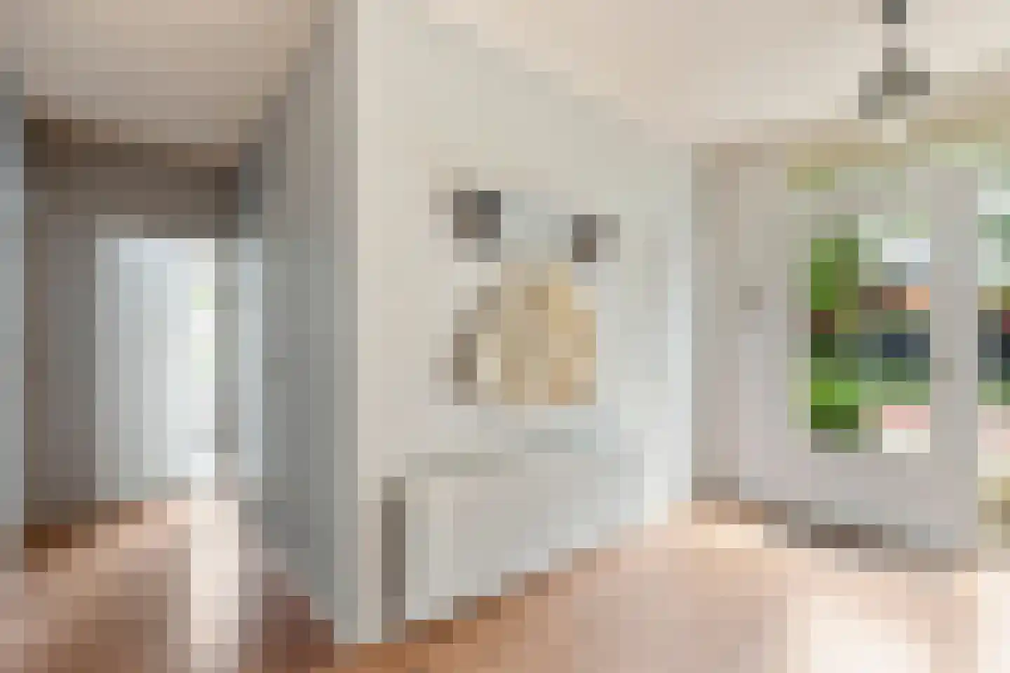 Jonkerstraat 20 Waarland thumbnail 5