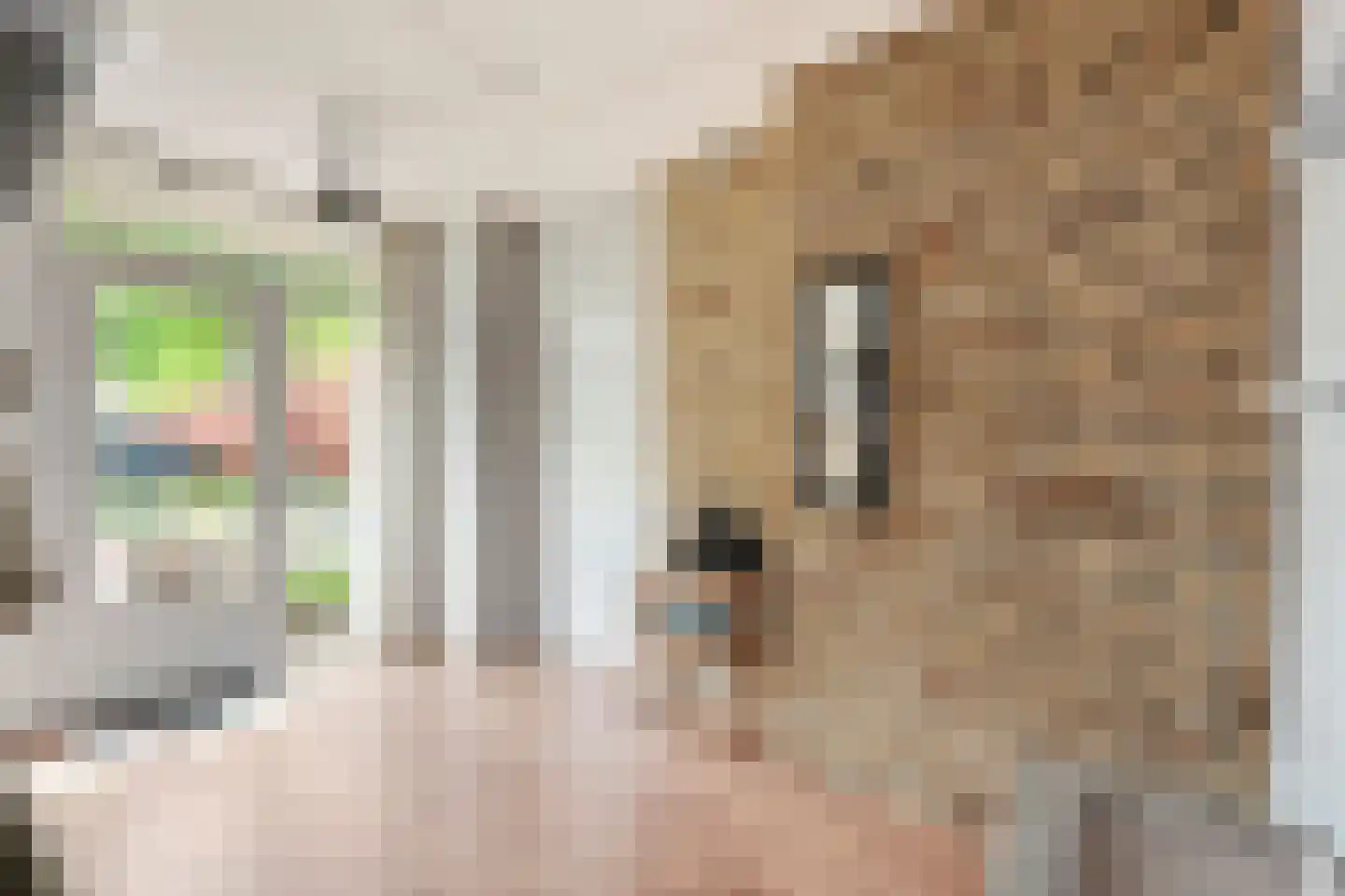 Jonkerstraat 20 Waarland thumbnail 6