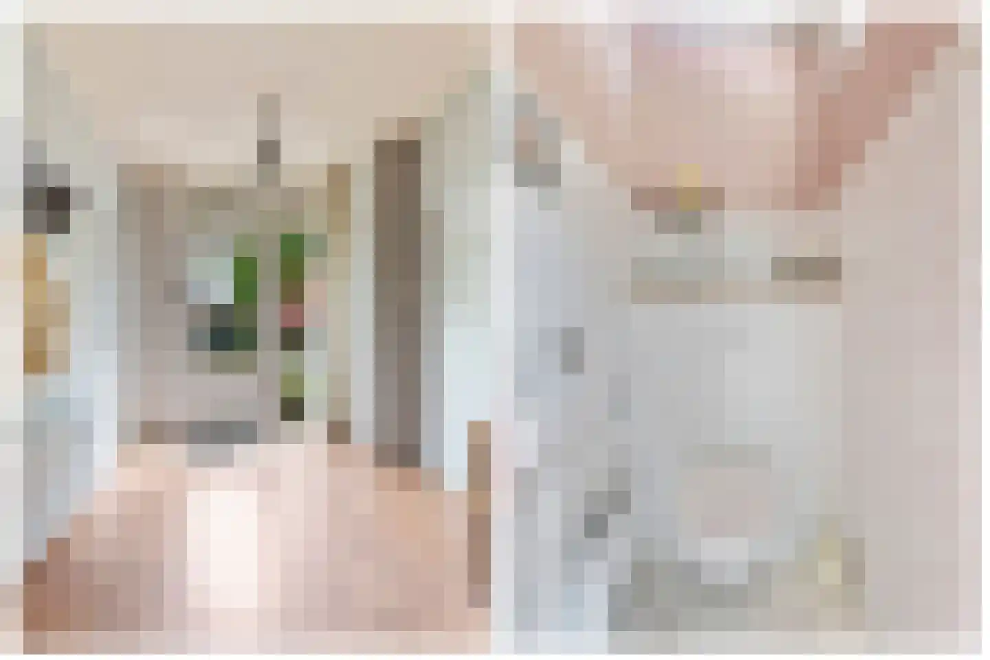 Jonkerstraat 20 Waarland thumbnail 7