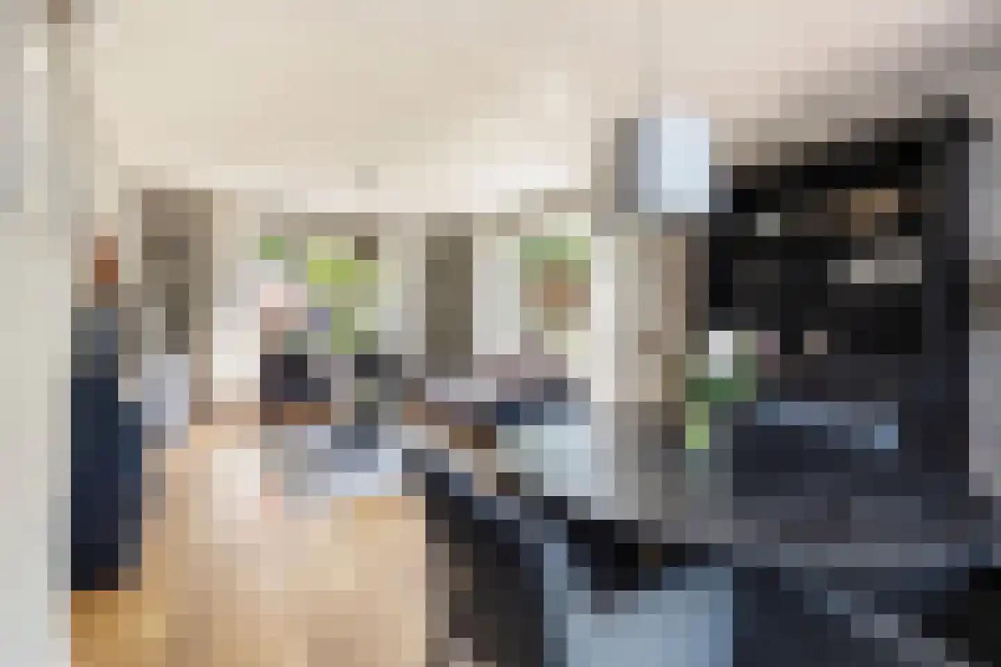 Jonkerstraat 20 Waarland thumbnail 8