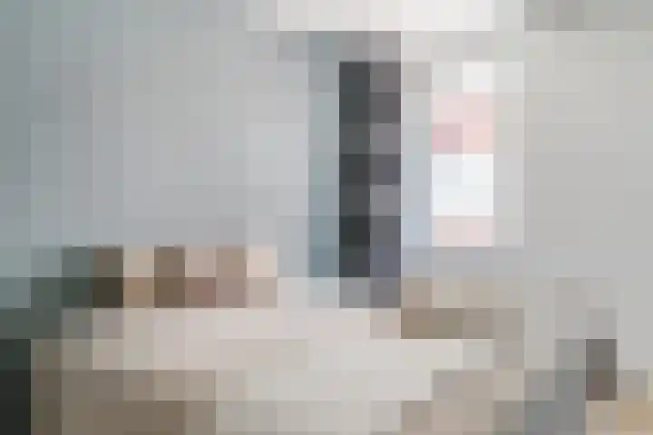Jonkerstraat 25 's-Hertogenbosch thumbnail 18