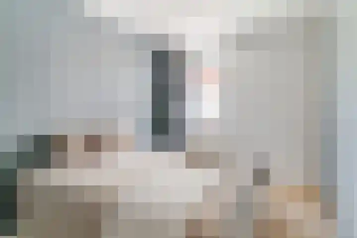 Jonkerstraat 25 's-Hertogenbosch thumbnail 20