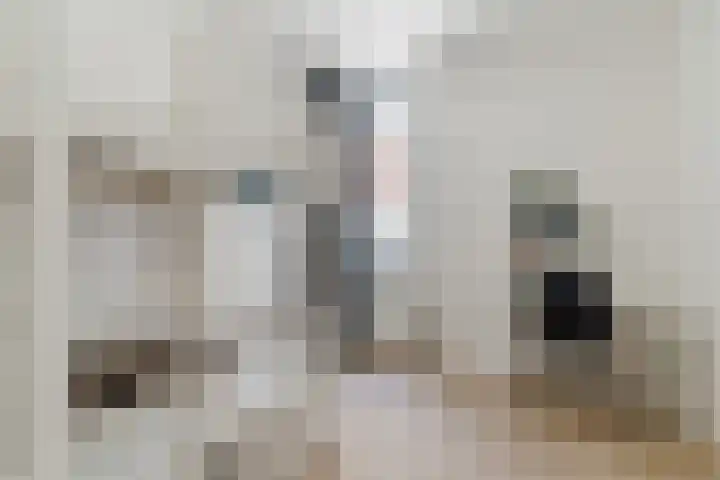 Jonkerstraat 25 's-Hertogenbosch thumbnail 22