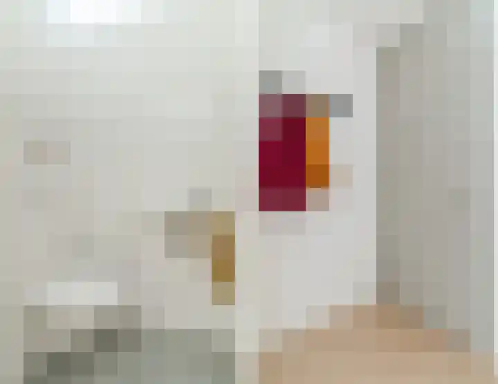 Jonkerstraat 25 's-Hertogenbosch thumbnail 26