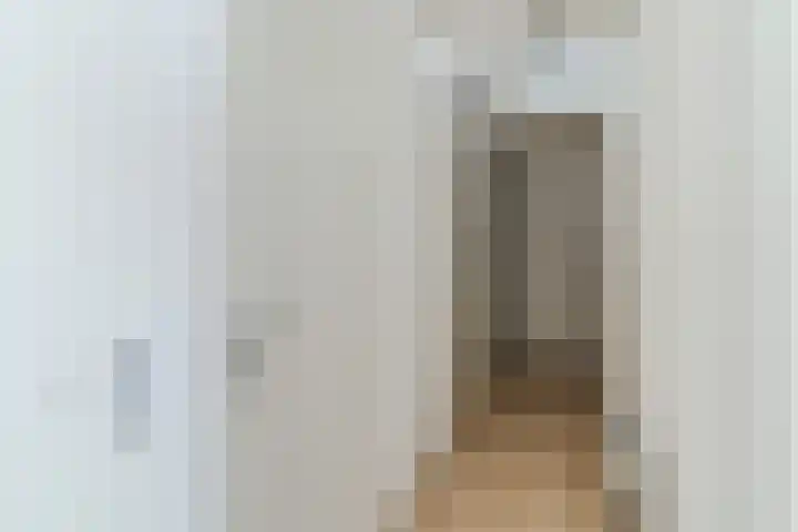 Jonkerstraat 25 's-Hertogenbosch thumbnail 28