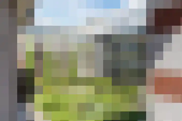 Jonkerstraat 25 's-Hertogenbosch thumbnail 31