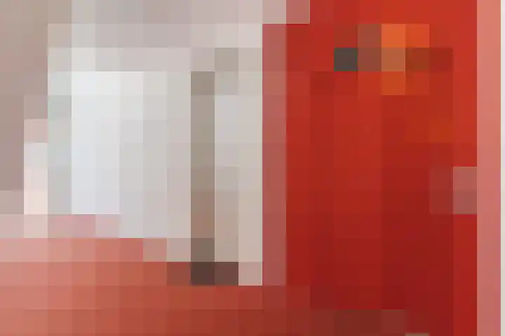 Jonkerstraat 25 's-Hertogenbosch thumbnail 34