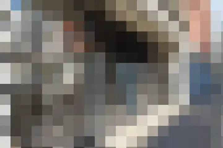 Jonkerstraat 25 's-Hertogenbosch thumbnail 35