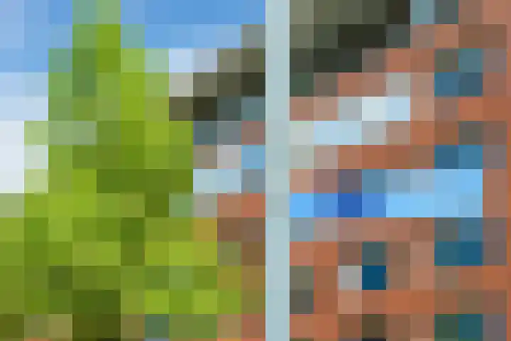 Jonkerstraat 25 's-Hertogenbosch thumbnail 36