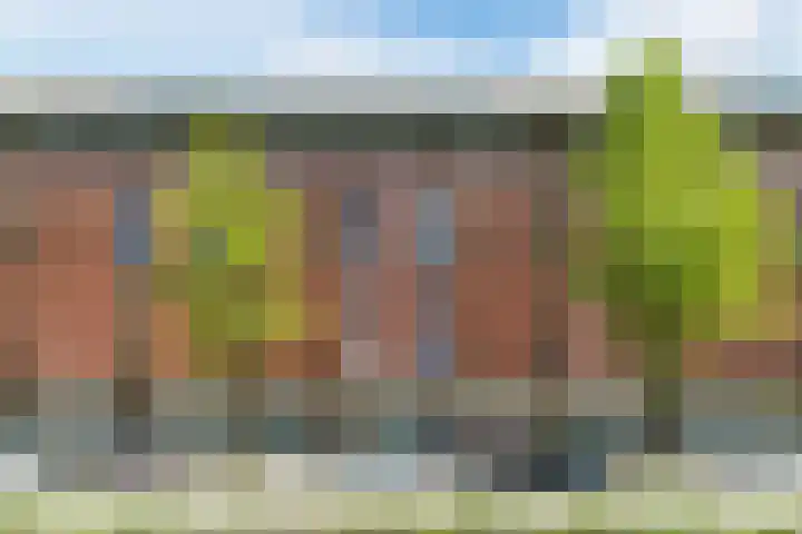 Jonkerstraat 25 's-Hertogenbosch thumbnail 38