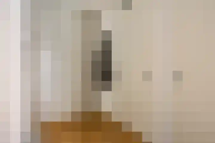 Jonkerstraat 31 's-Hertogenbosch thumbnail 11