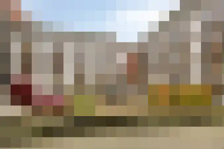 Jonkerstraat 31 's-Hertogenbosch thumbnail 14