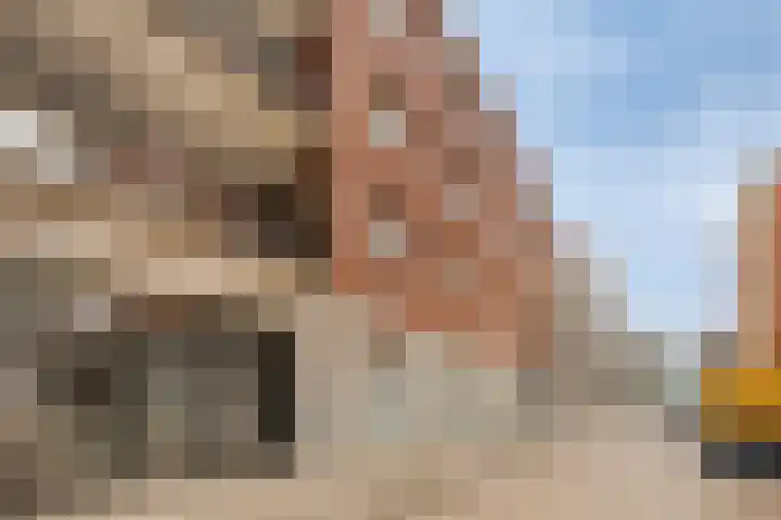 Jonkerstraat 31 's-Hertogenbosch thumbnail 15