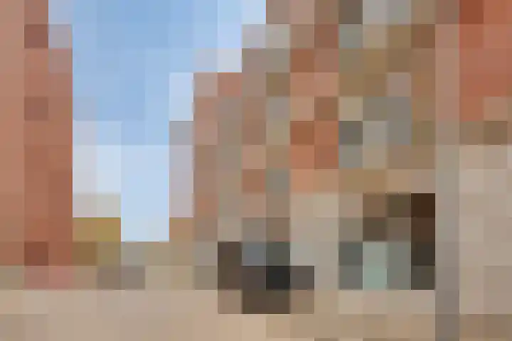 Jonkerstraat 31 's-Hertogenbosch thumbnail 18