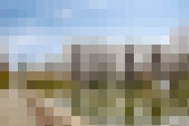 Jonkerstraat 31 's-Hertogenbosch thumbnail 19