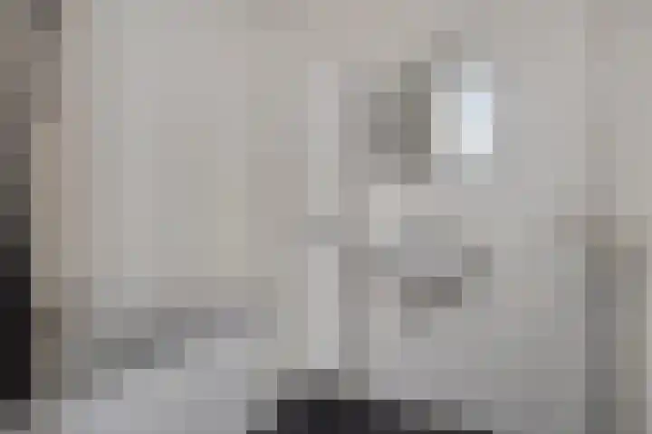Jonkerstraat 31 's-Hertogenbosch thumbnail 8