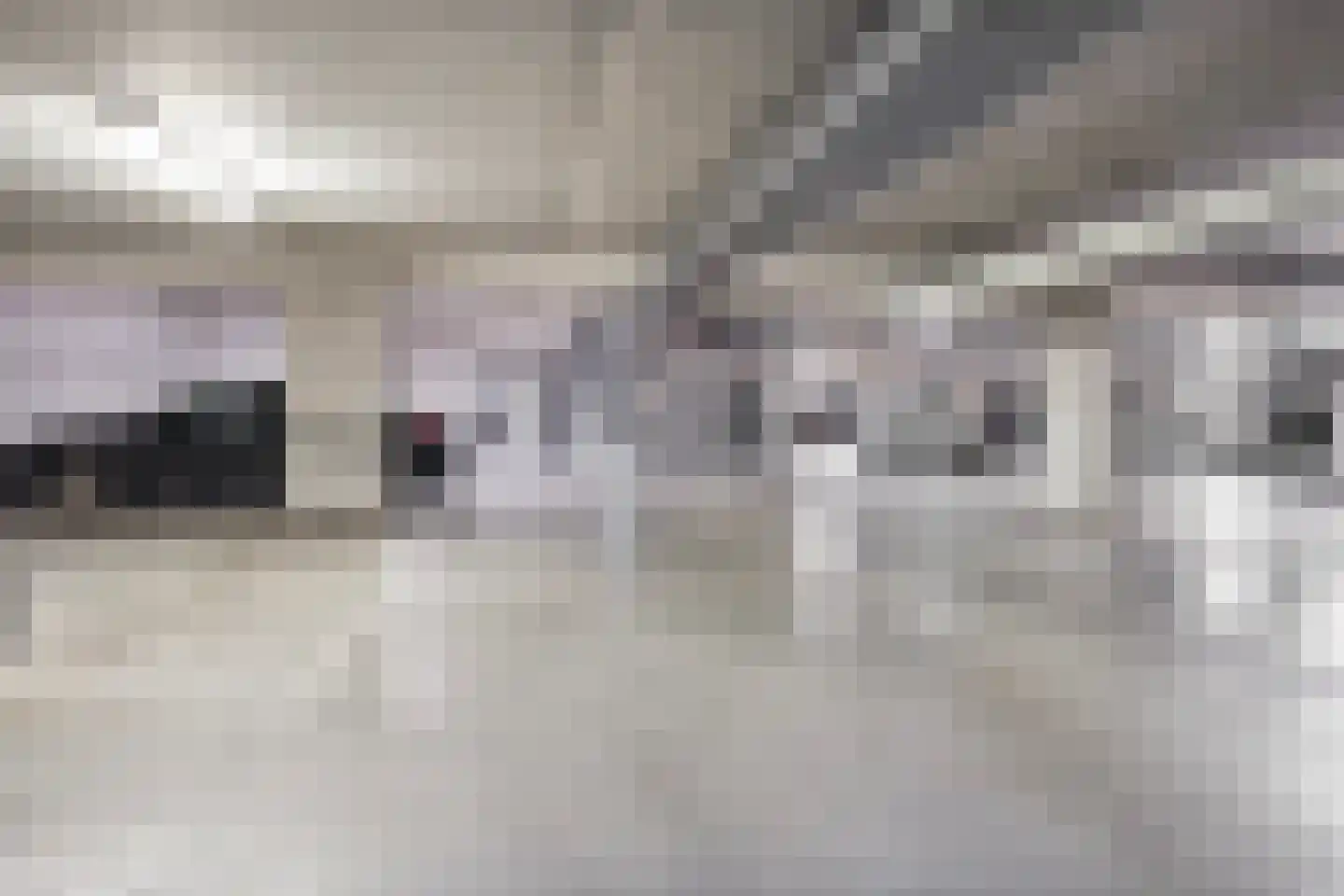 Jonkerstraat 33 's-Hertogenbosch thumbnail 21