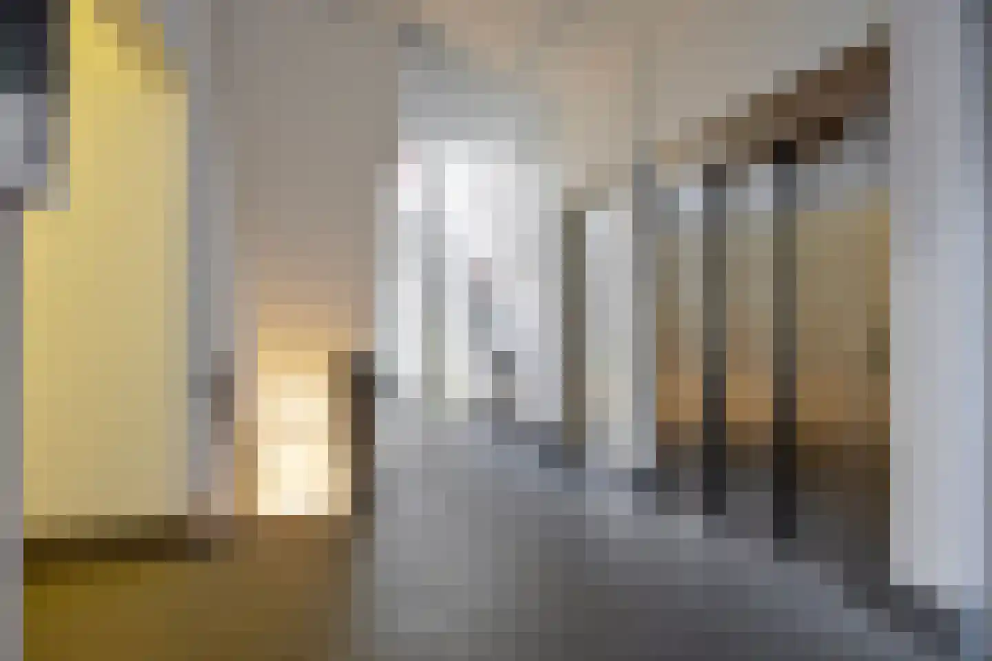 Jonkerstraat 33 's-Hertogenbosch thumbnail 23