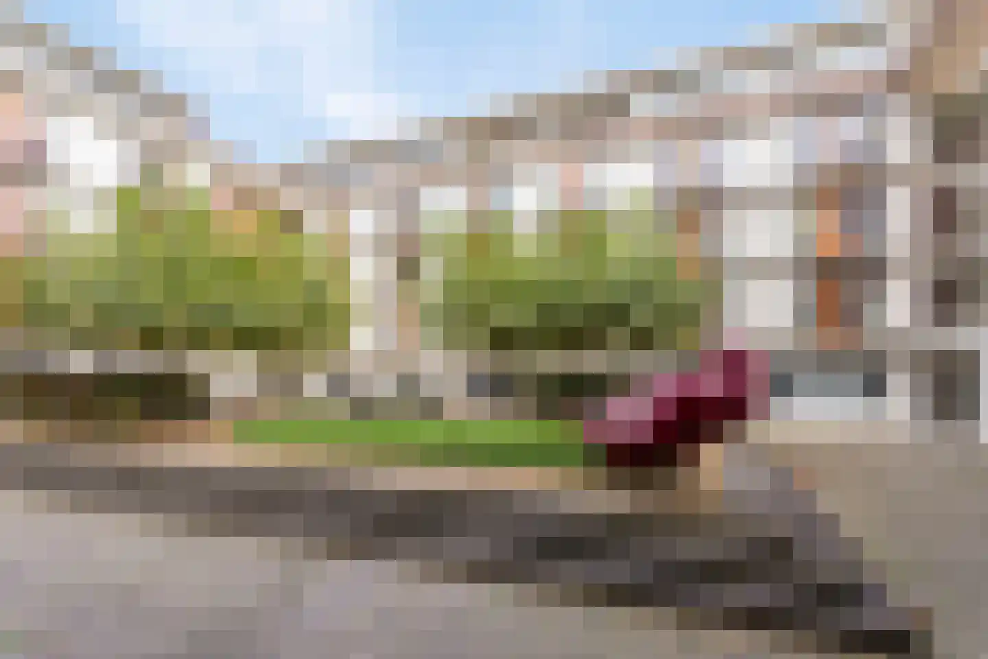 Jonkerstraat 33 's-Hertogenbosch thumbnail 24