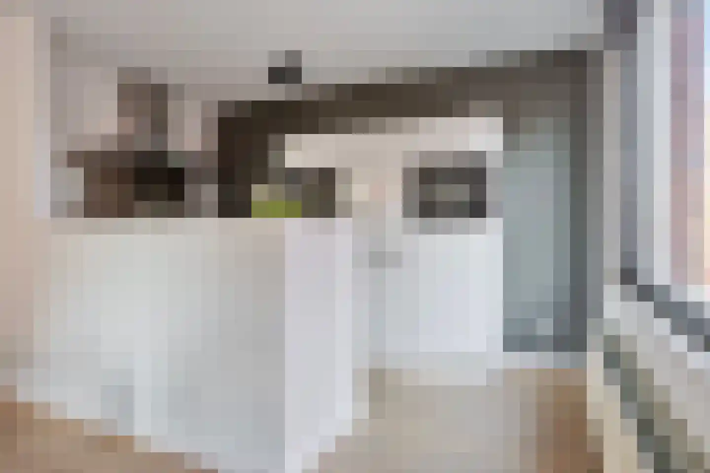 Jonkerstraat 33 's-Hertogenbosch thumbnail 4