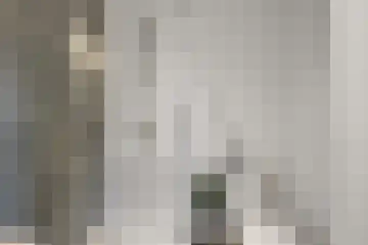 Jonkerstraat 41 Edam thumbnail 12