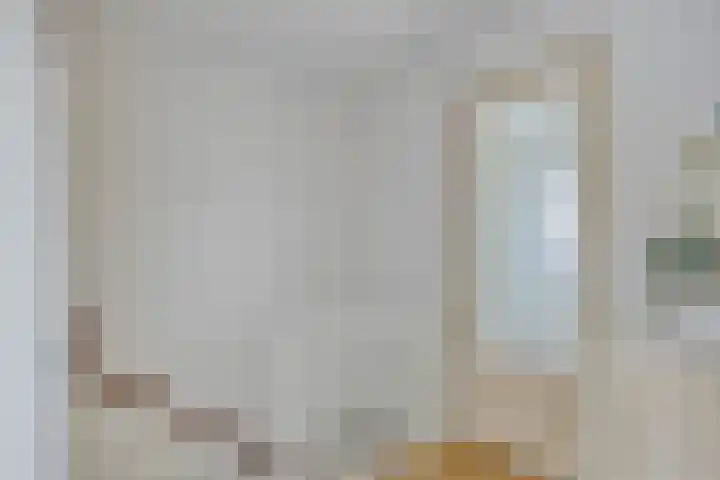 Jonkerstraat 42 Waarland thumbnail 27