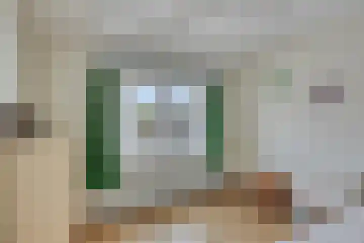 Jonkerstraat 42 Waarland thumbnail 33
