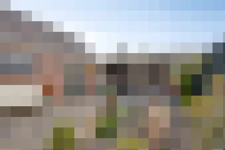 Jonkerstraat 42 Waarland thumbnail 42
