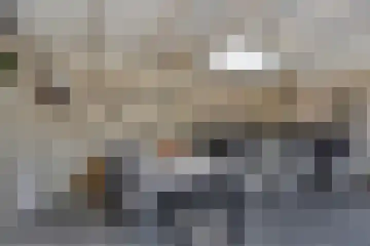 Jonkerstraat 42 Waarland thumbnail 44