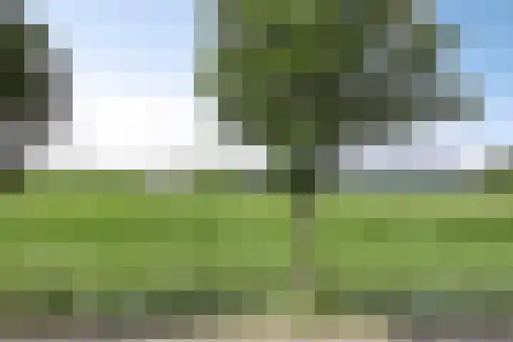 Jonkerstraat 42 Waarland thumbnail 47