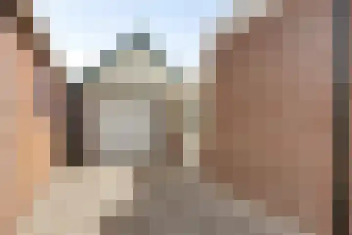 Jonkerstraat 42 Waarland thumbnail 7