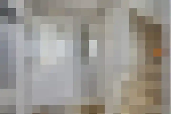 Jonkerstraat 42 Waarland thumbnail 8