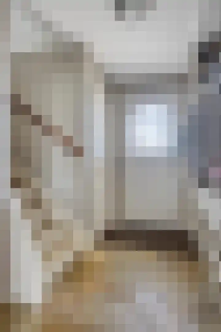 Jonkerstraat 42 Waarland thumbnail 9