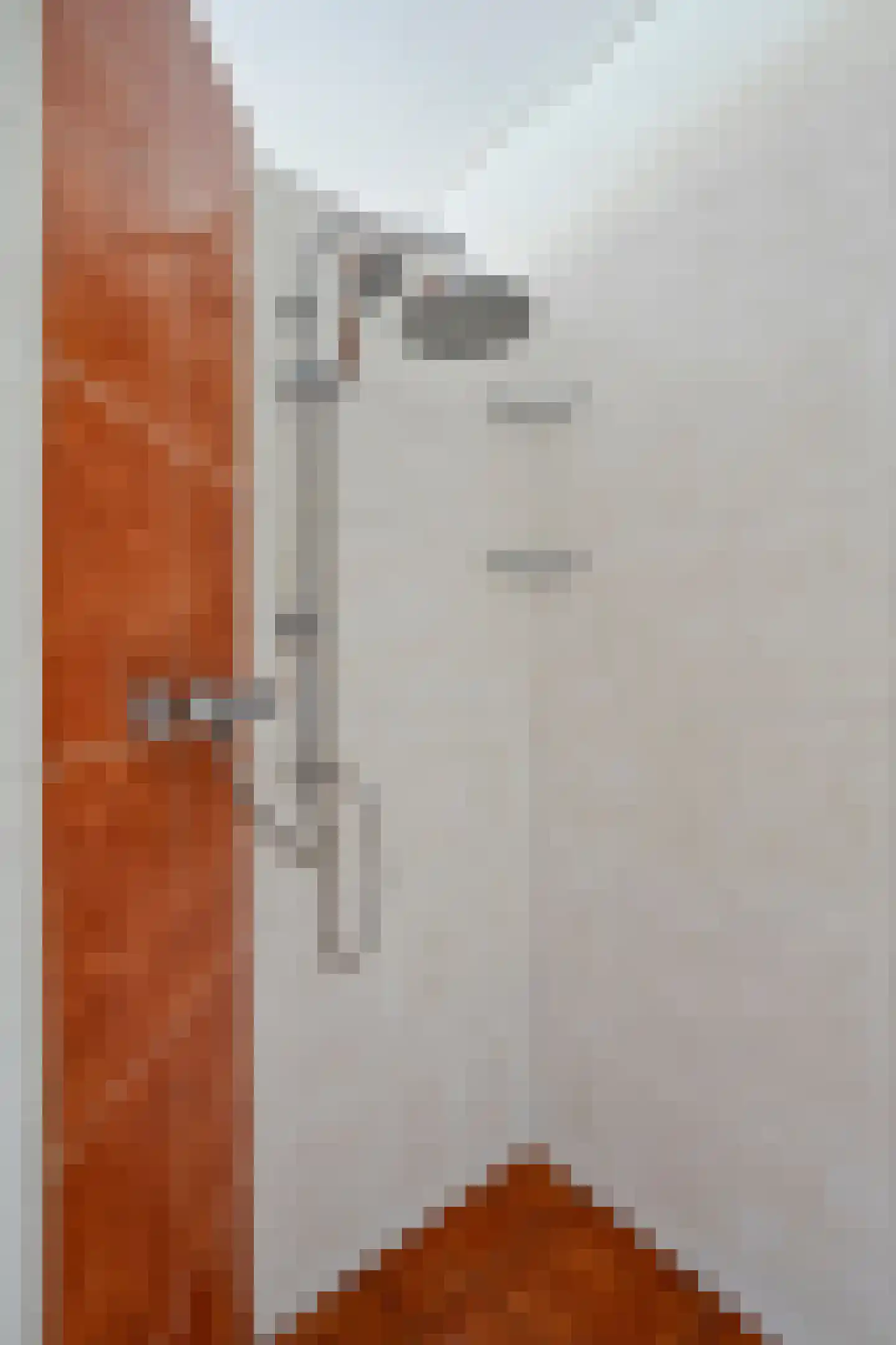 Jonkersvaart 128 Zevenhuizen thumbnail 21