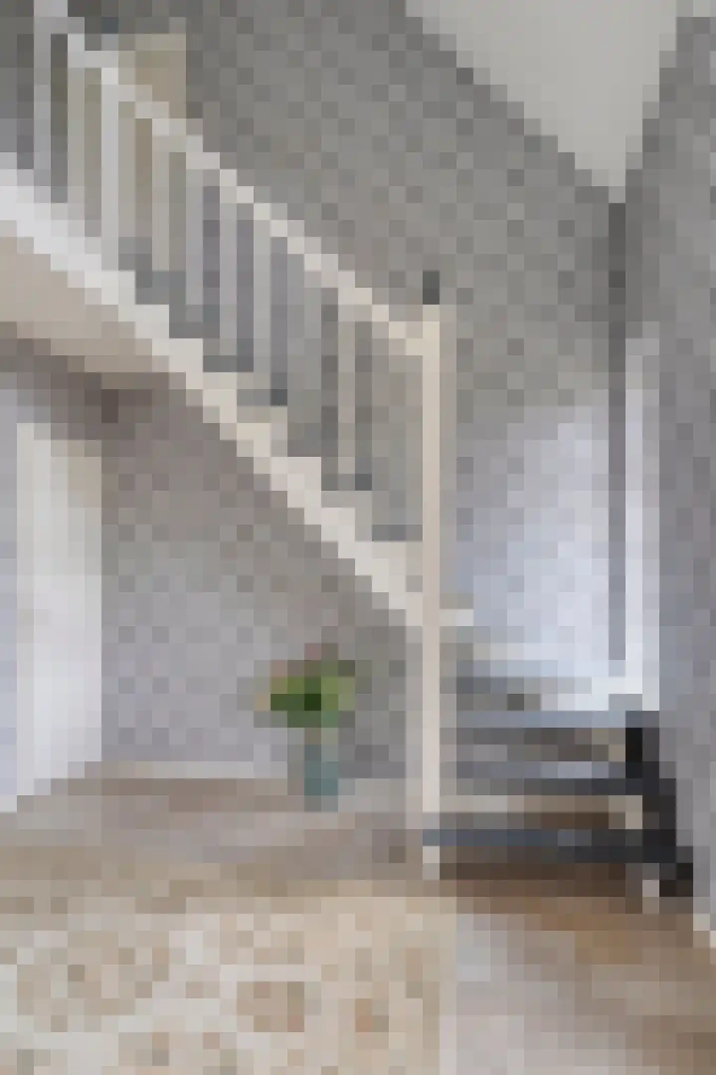 Jonkersvaart 128 Zevenhuizen thumbnail 25