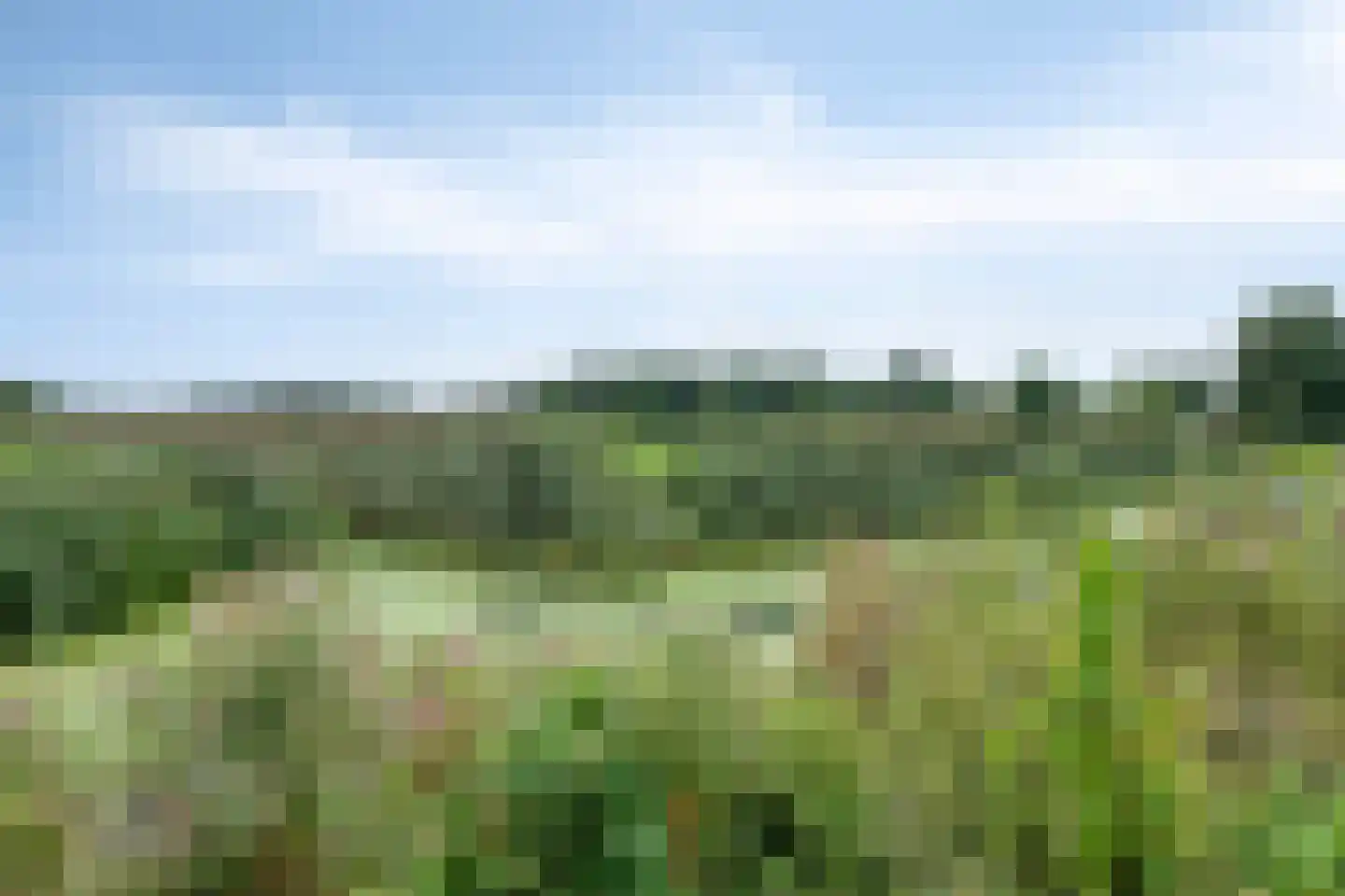 Jonkersvaart 128 Zevenhuizen thumbnail 60
