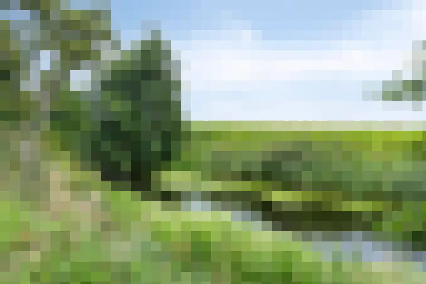 Jonkersvaart 128 Zevenhuizen thumbnail 61