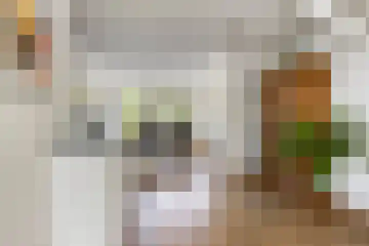 Jonkersveld 6 Nieuw-Roden thumbnail 13