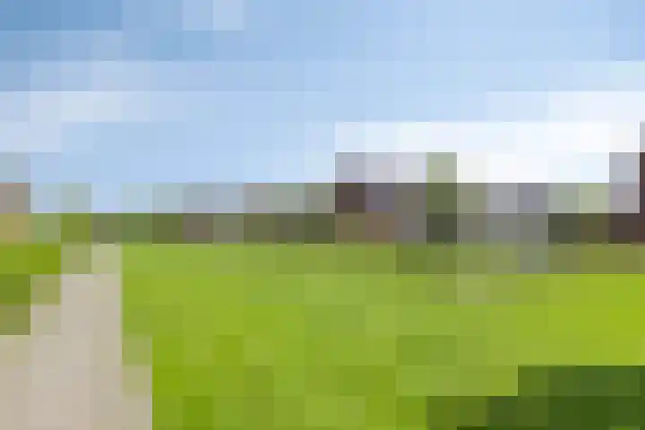 Jonkersveld 6 Nieuw-Roden thumbnail 39