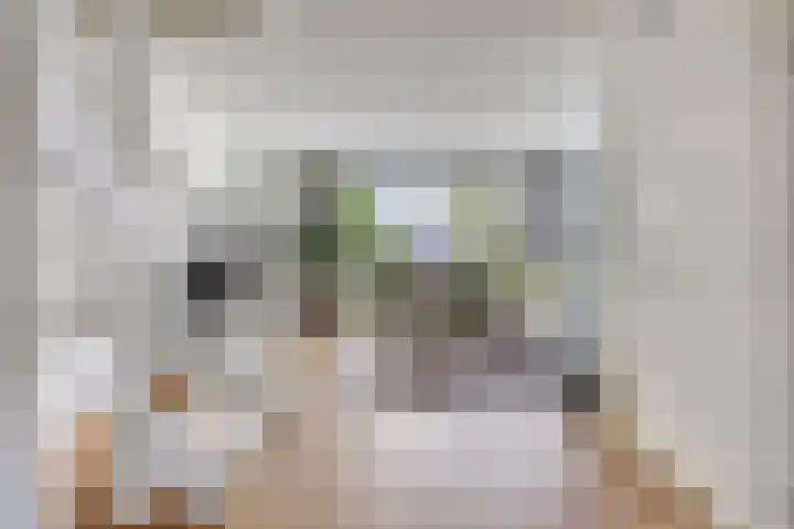 Jonkersveld 6 Nieuw-Roden thumbnail 8