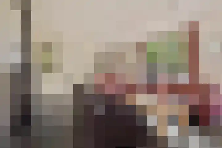 Jonkersweg 53 Winterswijk Meddo thumbnail 14