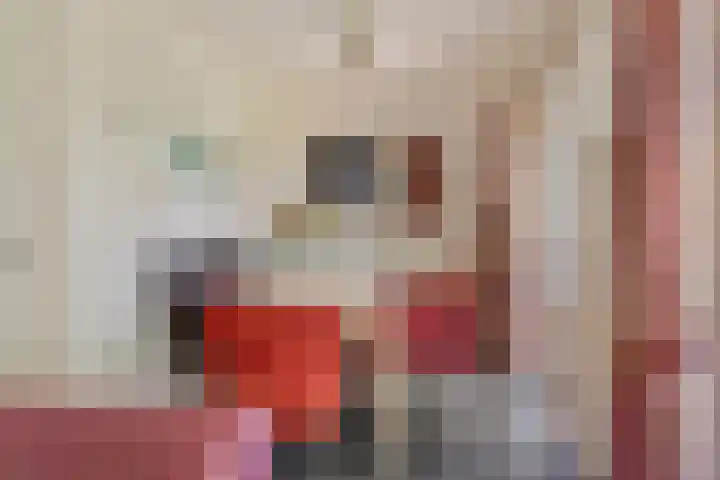 Jonkersweg 53 Winterswijk Meddo thumbnail 18